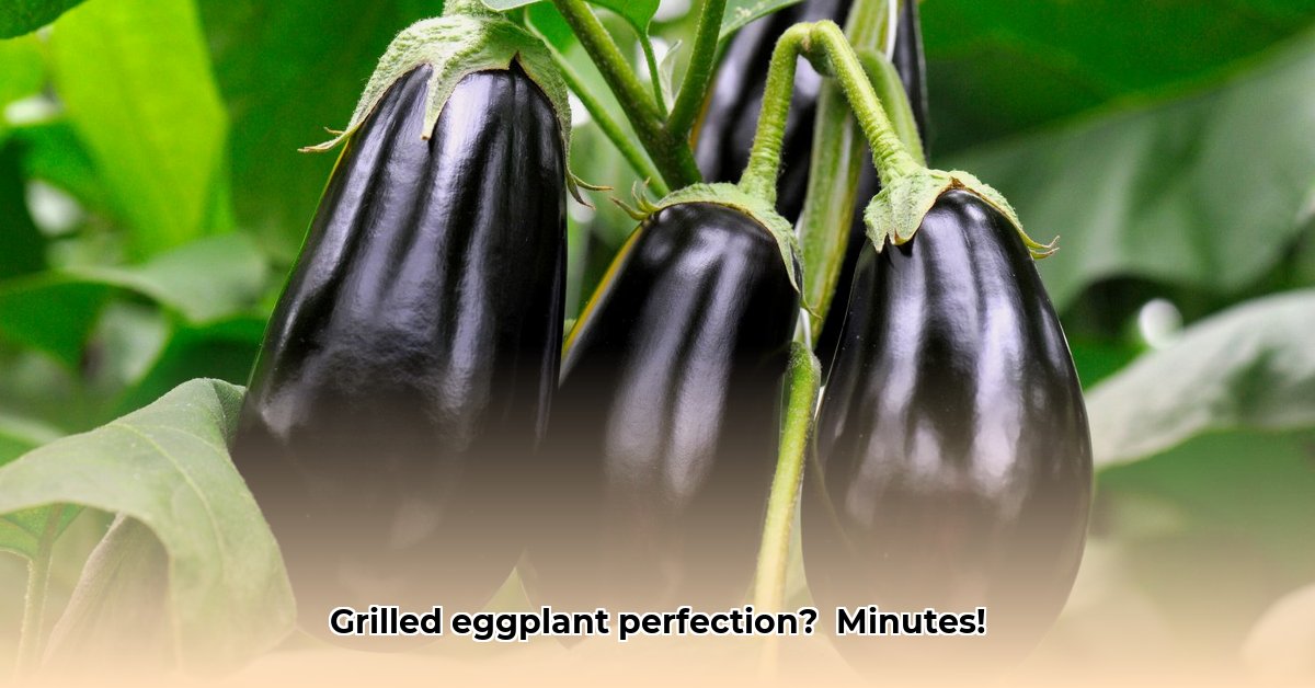 aubergine-grillen-pan